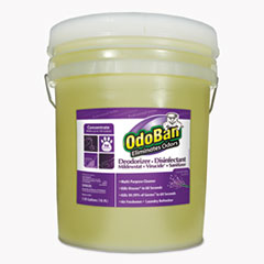 C-ODO BAN PRO DISINF CLNR 5GAL PAIL LAV 1