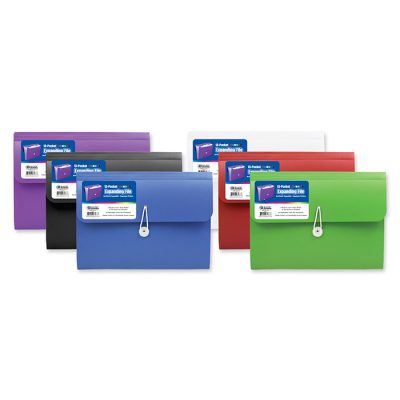 Poly Expanding File, 13-Pocket Letter Size (6/Pack)