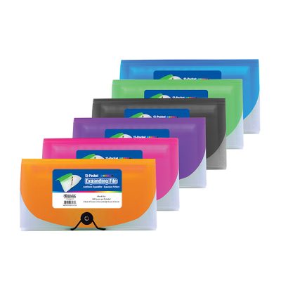 Poly Expanding File, 13-Pocket Check Size (24/Pack)